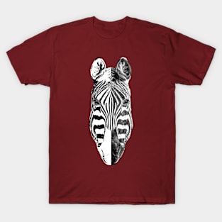 Mr B&W Zebra T-Shirt